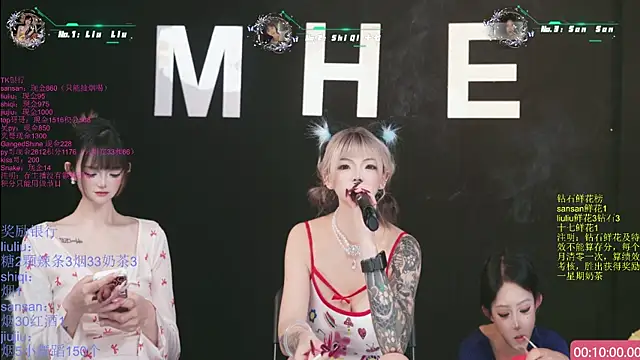 MHe-002n Webbikameraesitys