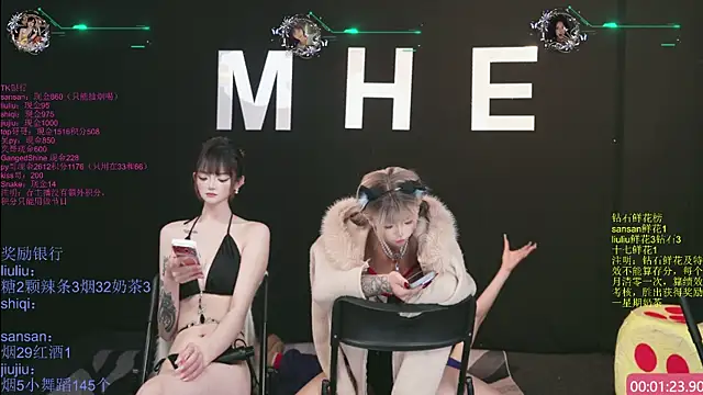 MHe-002 Show Webcam