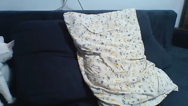 KaelNox's Webcam Show