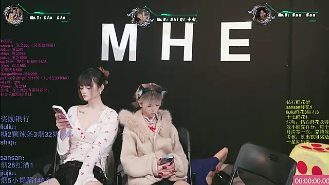 Show modela MHe-002 na web-kameri