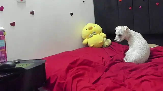Evaaross_2345's Live XXX Chat