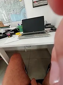 hpp66 Webcam-Show