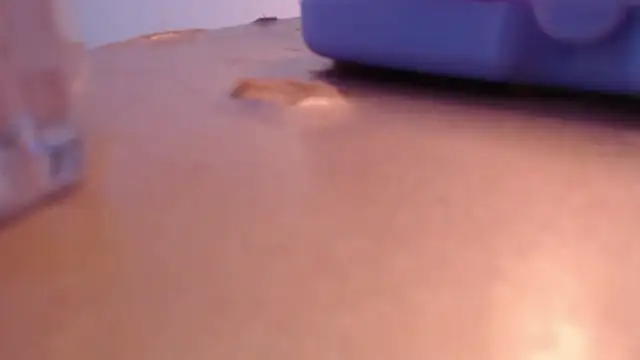 aixa_show 라이브 XXX 채팅