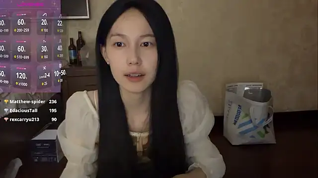 DD-5200 webcam show