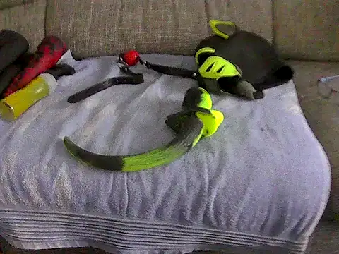Show de puppy_tomik na webcam