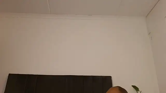SoftRosee Live XXX-Chat