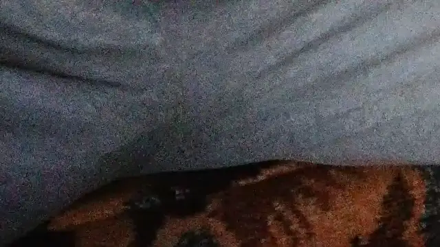 loverboyxxx69: απευθείας συνομιλία ΧΧΧ