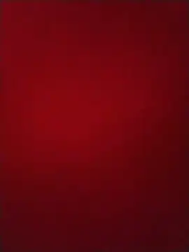 Biknight Live XXX Chat