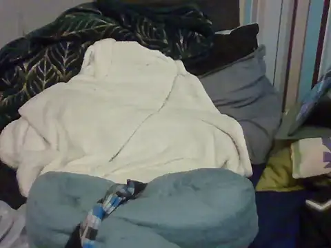 Show Webcam de evilku