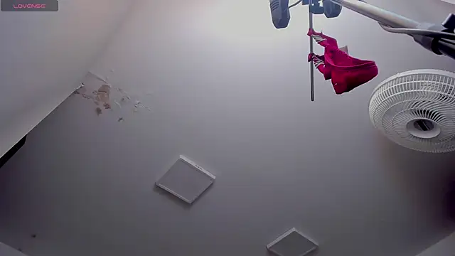 AfroditaVega_のライブXXXチャット