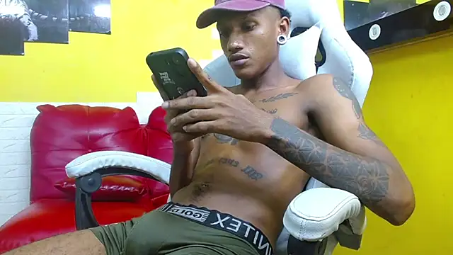 Show webcam de ManSant