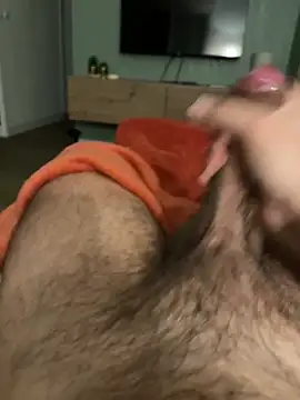 Show webcam de bgos33