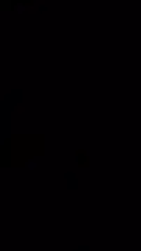 Kingclit1998 Webcamshow