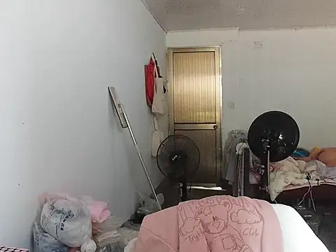 RebelAura Show Webcam