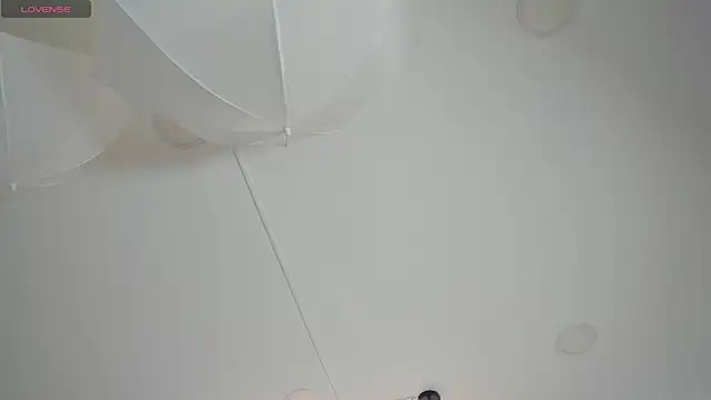 Taylor_Royal_ élő XXX-chatje