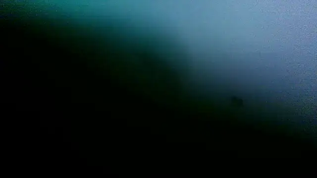 Sicksob Live XXX-Chat