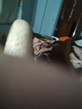 amirMohamed58's Webcam Show