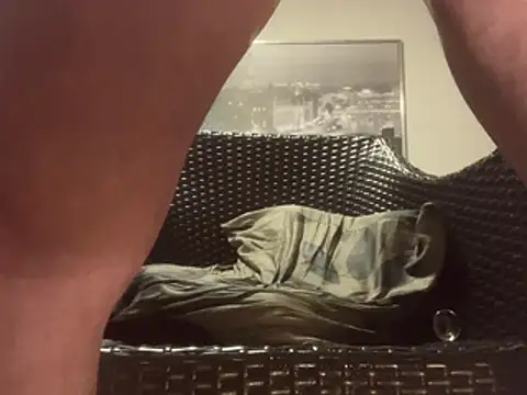 Tyyson03n Webbikameraesitys