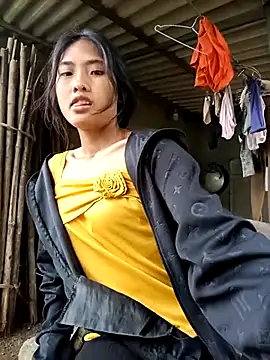 Hoa-tuylip Webcam-Show