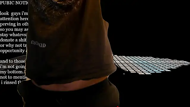 mista_sista_fistan Webbikameraesitys