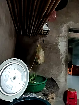 Hoa-tuylipのウェブカメラショー