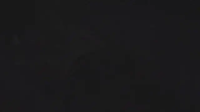 nopuss4me4ever Show in webcam