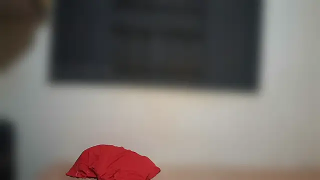 samiraor 라이브 XXX 채팅