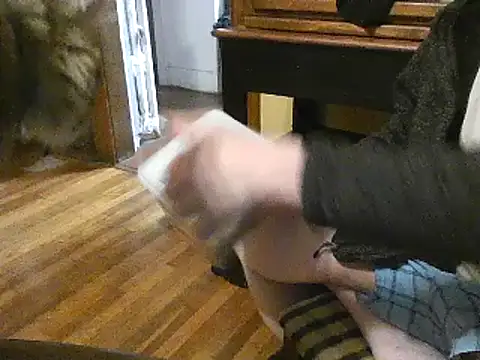 TheOneDonShaun Show Webcam