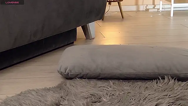 TSGiselen Webbikameraesitys