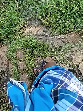 dolphiinn 在線直播表演