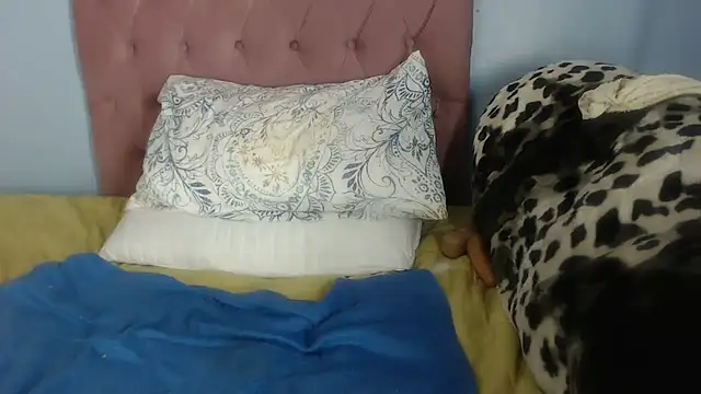 Chat +18 de Nellybba ao vivo