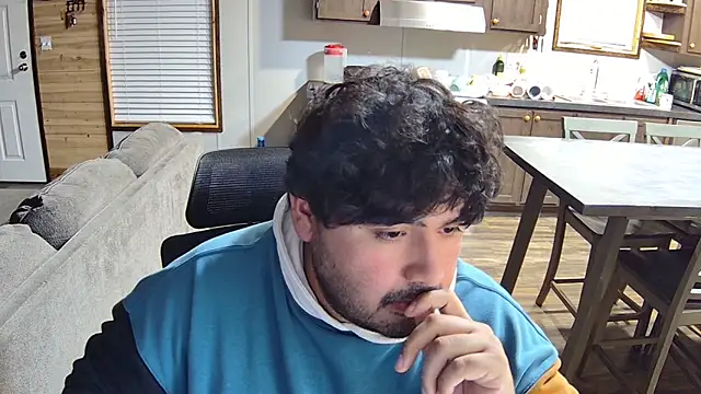 _Alv_ Show Webcam
