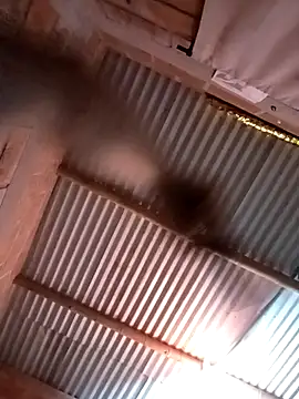 Živý XXX chat Mycansonhot