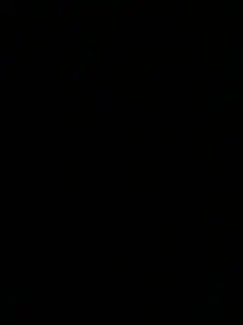 Show Webcam de Sealoveh