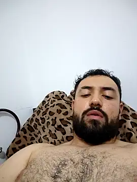 Seb_peluditon Webbikameraesitys