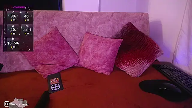 Chat +18 de dark__nymph ao vivo