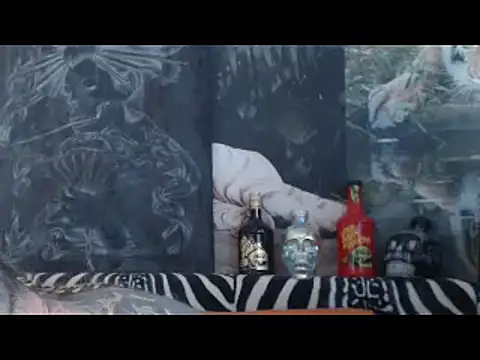 viking_30n Webbikameraesitys