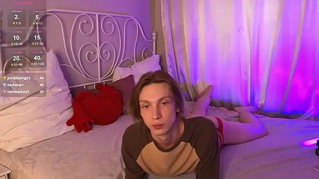Daniel_Schmidtn Webbikameraesitys