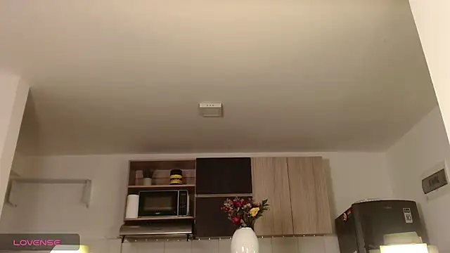 Bruno_Rangel: διαδικτυακό σόου στην κάμερα