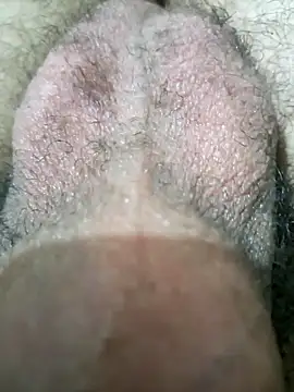S1sexydick webcam show