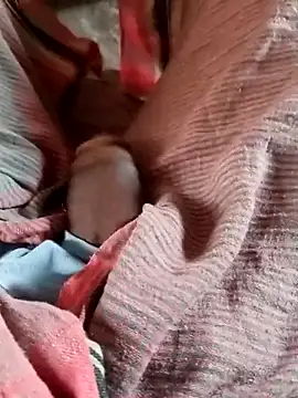 عرض كام Bengali_BULL1