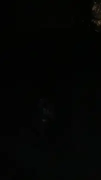 VanderVelvet – Naživo XXX chat