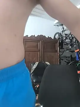 RejoinedLescol webcam show