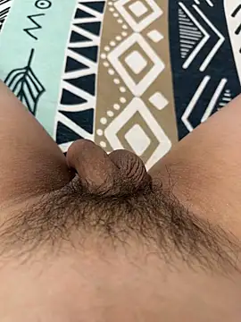 Pertunjukan Kamera Web boyhandsomevn18cm