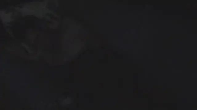 nopuss4me4ever 在線直播表演