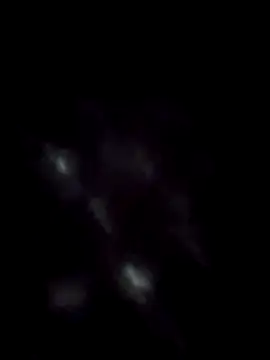 Show webcam de dufatcock
