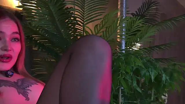 AriWild's Webcam Show