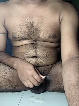 Pertunjukan Kamera Web stripman_900