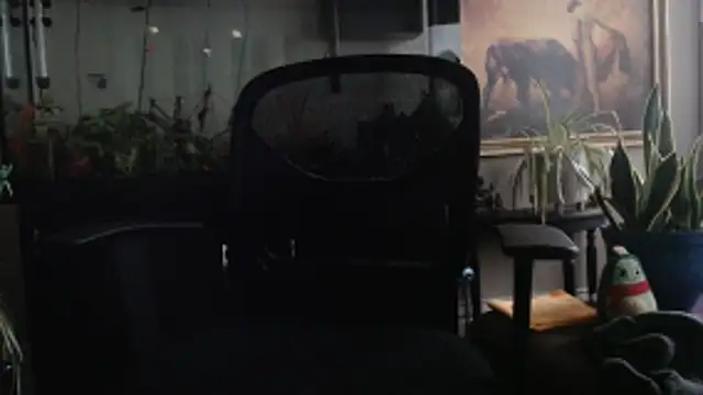 EspanolVato's Webcam Show