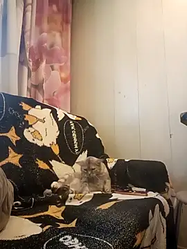 Milahka_Nata: вебкам-шоу